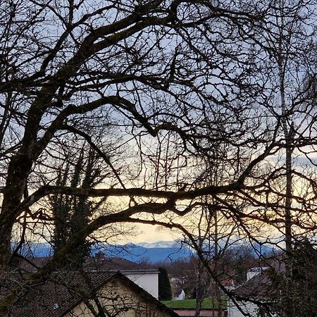 Ferienwohnungen Sisi Pocking  Bagian luar foto