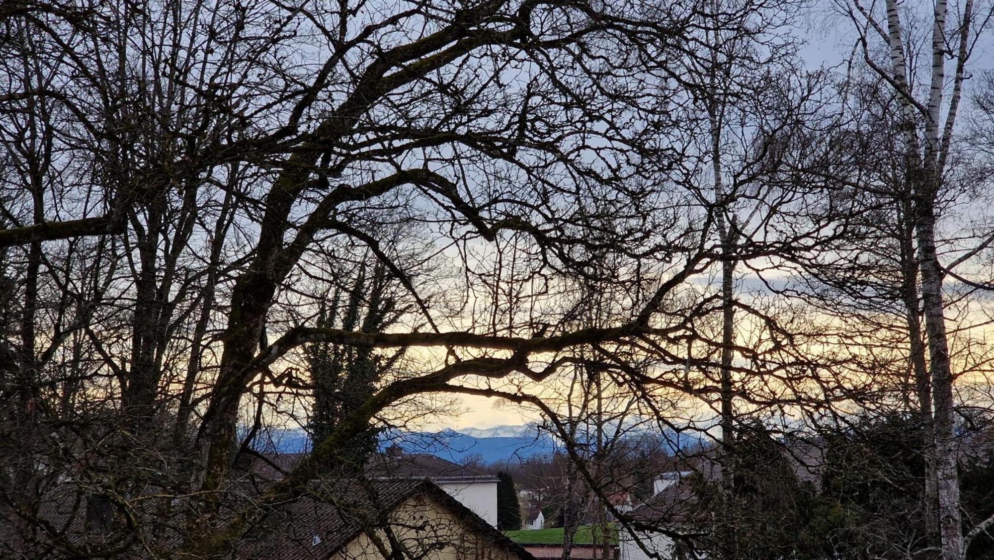 Ferienwohnungen Sisi Pocking  Bagian luar foto